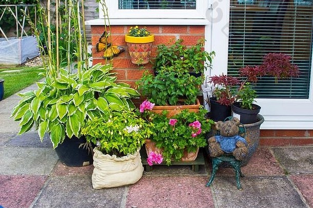 典型的容器花园显示草本植物典型的英语花园中期6月
