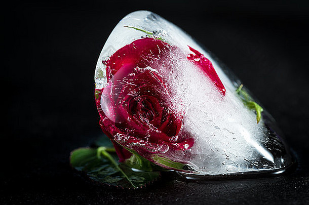 关闭小红色的玫瑰冻冰多维数据集添加美丽的行泡沫元素失真艺术