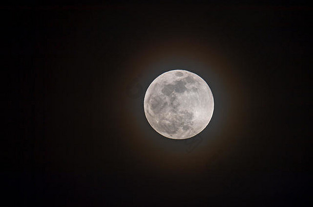 超级血狼月亮天空阿尔伯克基墨西哥美国