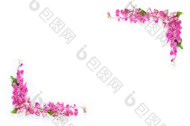 粉红色的花花边境框架角落里白色背景复制空间
