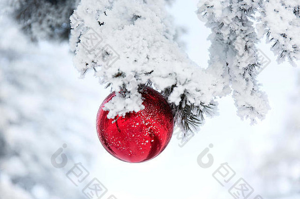 红色的圣诞节球冷淡的冷杉树分支机构冬天模糊背景