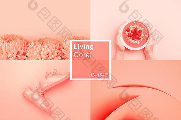 拼贴画使照片时尚的生活珊瑚颜色时尚的颜色生活珊瑚