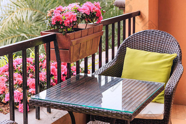 方向盘表格扶手椅枕头阳台盆栽花粉红色的杜鹃花栏杆绿色棕榈树背景