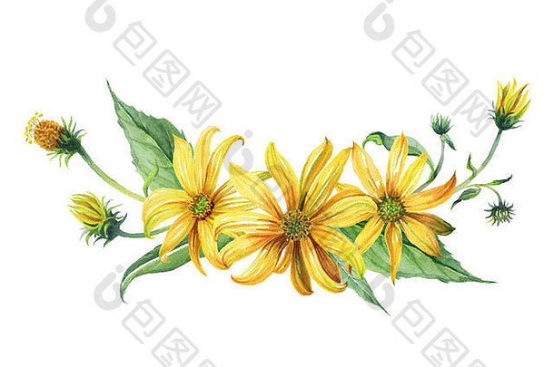 水彩花束黄色的雏菊