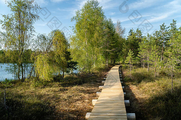 穆沙telmological储备木小径小道最长的小道立陶宛