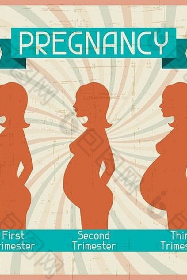 轮廓怀孕了女人三学期制