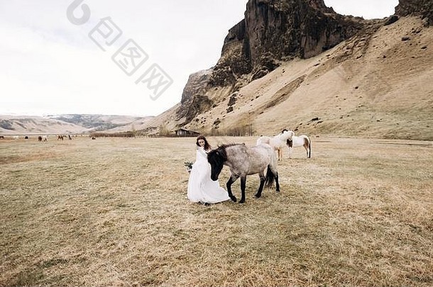 新娘白色衣服花束手抚摸马黑色的鬃毛脸场莫斯目的地冰岛婚礼