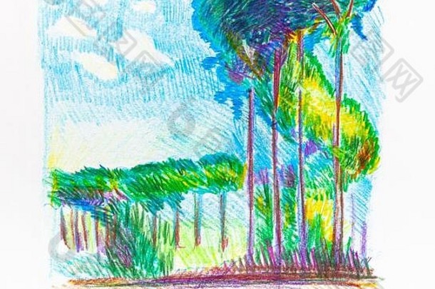 绿色树路阳光明媚的夏天一天手绘颜色铅笔白色纸