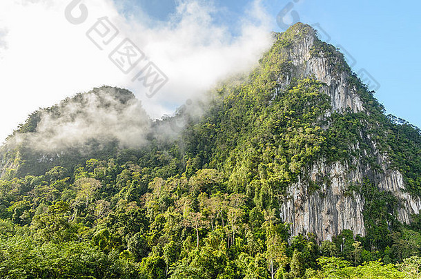 郁郁葱葱的高石灰石山覆盖<strong>雾</strong>包围热带森林泰国