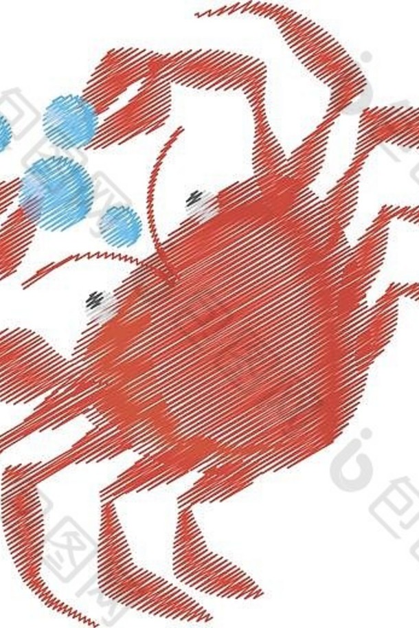 手画蟹sealife甲壳纲动物食物泡沫