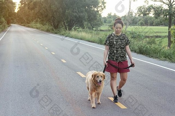 亚洲女人金寻回犬狗走公共路