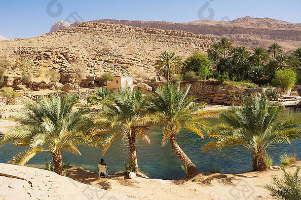 令人惊异的湖绿洲棕榈树Wadi巴尼哈立德阿曼沙漠