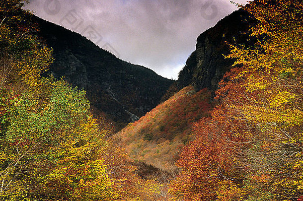 树显示秋天颜色集岩石黑暗天空走私者切口佛蒙特州英格兰