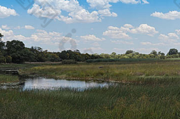 linyanti沼泽边境博茨瓦纳纳米比亚
