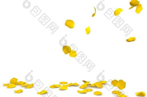 黄色的玫瑰花瓣飞行地板上孤立的白色背景