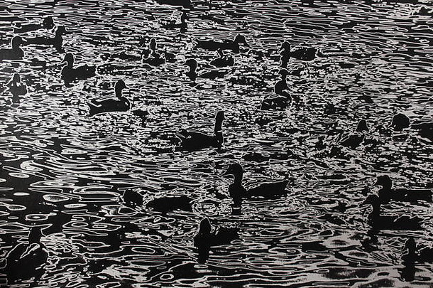 细黑色的白色艺术摄影群撑筏团队划鸭子游泳湖