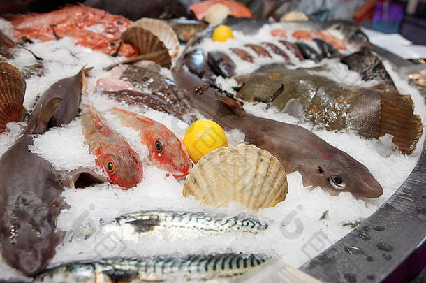 宽选择鱼海鲜市场显示