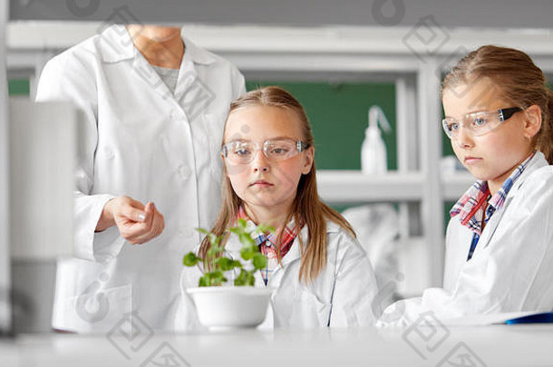 学生老师植物生物学类