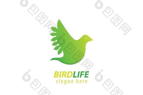 鸟设计标志