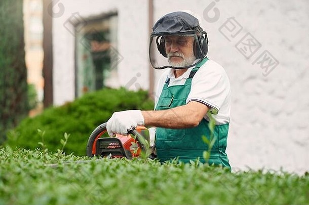 老年人男人。景观采取护理植物花园前面视图高级工人穿统一的保护耳机脸面具切割杂草丛生的灌木电修剪机