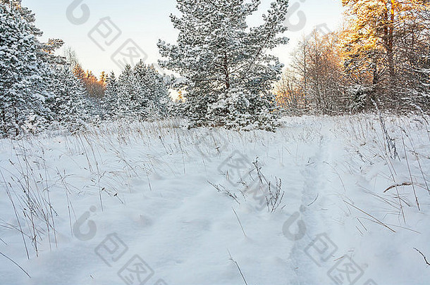 田园雪冬天场景