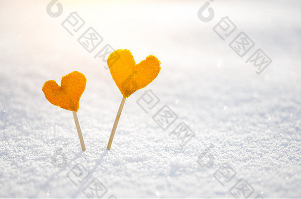 古董橙色橘子心白色雪背景爱情人节一天概念