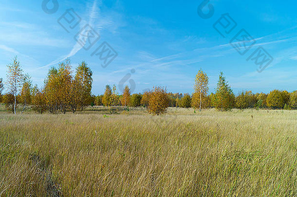 秋天景观农村地形背景蓝色的天空太阳能一天