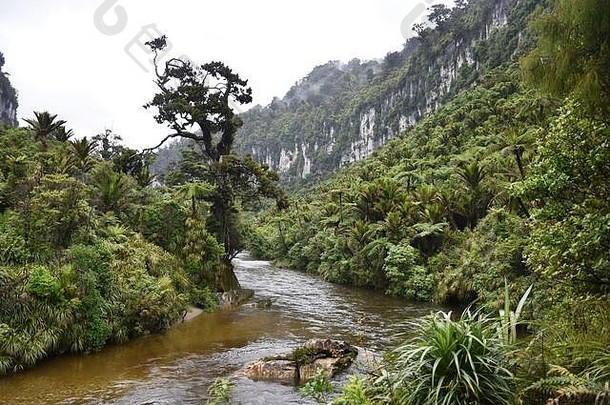 河山paparoa新西兰
