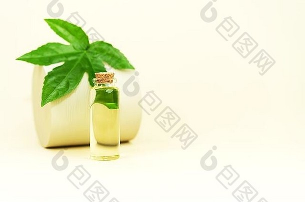 玻璃瓶Herbal中央商务区石油THC酊麻叶柔和的米色背景平躺最小的风格化妆品中央商务区石油至关重要的自然油脸身体