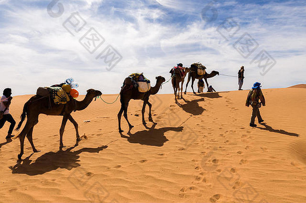 骆驼商队撒哈拉沙漠沙漠