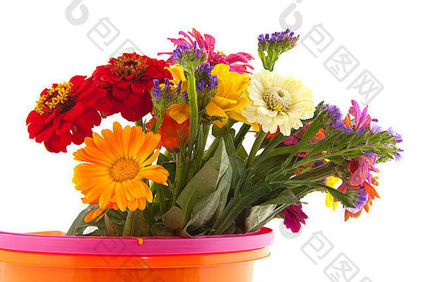 色彩斑斓的花花束塑料橙色桶