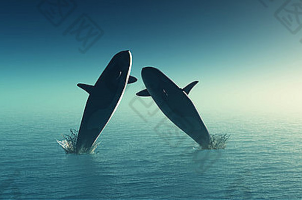 渲染鲸鱼跳海