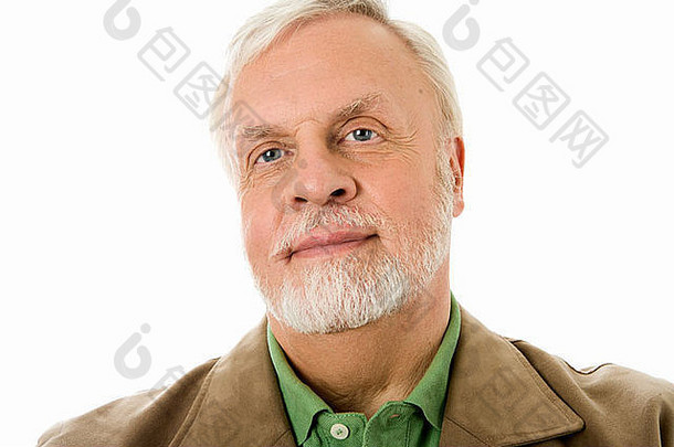 肖像斯堪的那维亚男人。灰色胡子瑞典