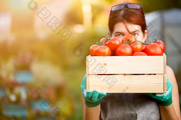 图像女人西红柿