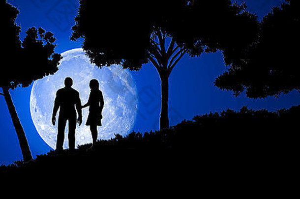 插图夫妇晚上完整的月亮光
