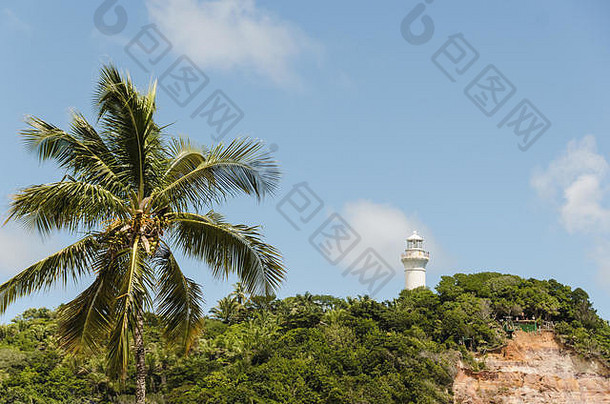 美丽的视图热带棕榈著名的灯塔死的为什么paulo岛巴西阳光明媚的夏天一天