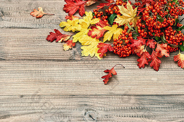 红色的黄色的叶子乡村木纹理秋天背景复古的风格彩色的照片