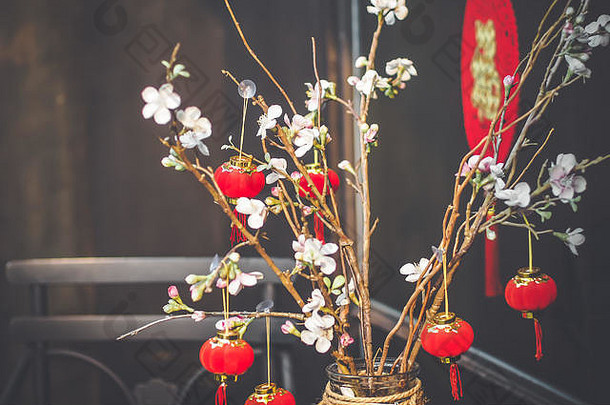 中国人一年背景红色的盛开的樱花分支机构明亮的背景