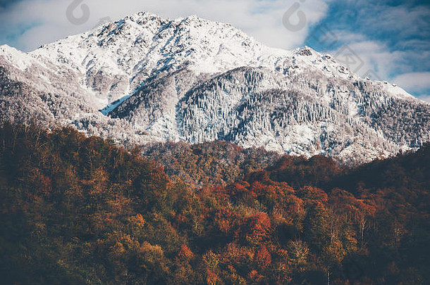 雪山秋天森林景观背景旅行宁静风景优美的视图