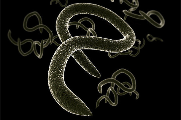 埃博拉病毒病毒细胞医疗科学背景