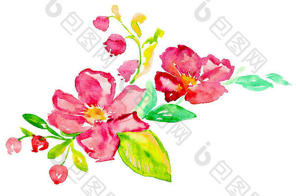 花粉红色的玫瑰臀部野生玫瑰蓝铃花用钉子钉上叶子孤立的手画水彩插图现代风格软点