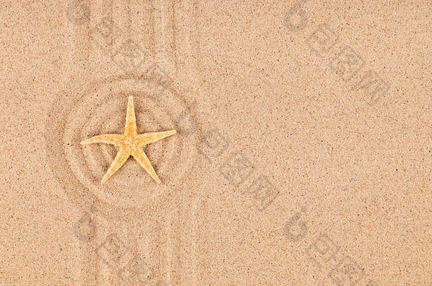 海星说谎中心圆使沙子的地方设计