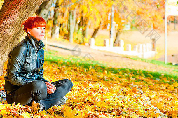 女孩红色的头发公园休息枫木