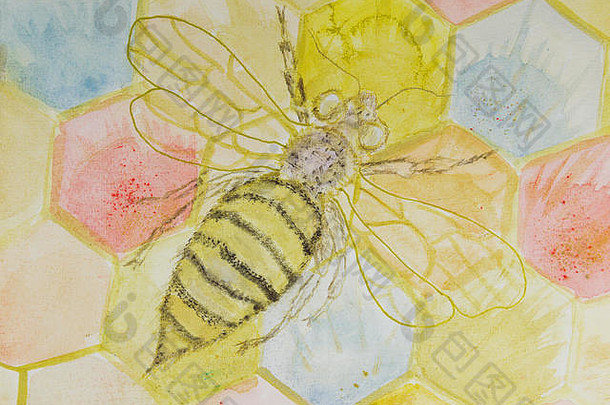 蜜蜂开放翅膀六角建设一边擦技术软焦点效果由于改变表面粗糙度纸