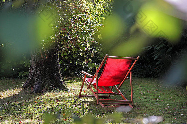 红色的甲板椅子花园大桦木树