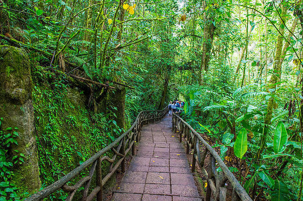 热带热带雨林科斯塔黎加paz)瀑布花园