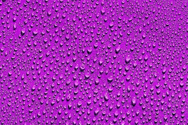 宏水滴纹理紫罗兰色的背景摘要模式空白设计