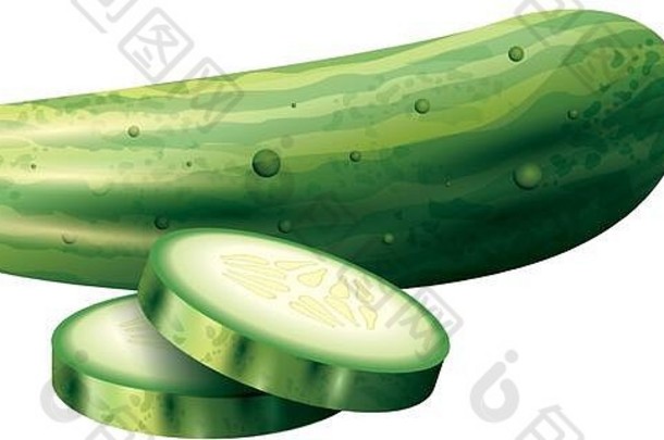 孤立的黄瓜蔬菜向量设计