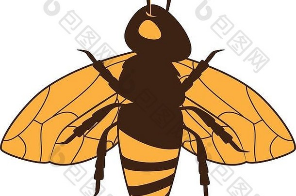 蜜蜂昆虫蜂蜜图标向量图形