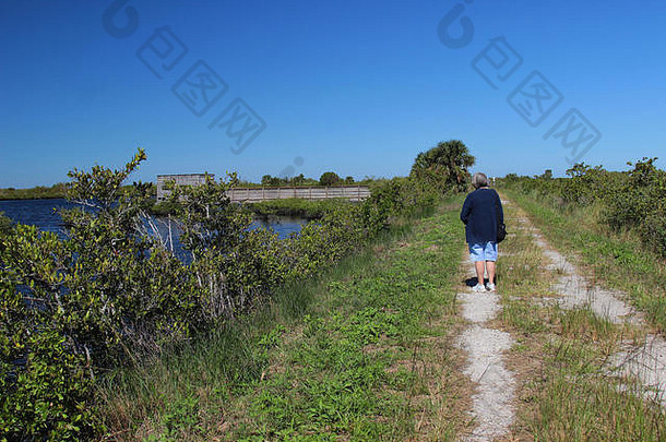 女人走小径梅里特岛国家野生动物避难所佛罗里达